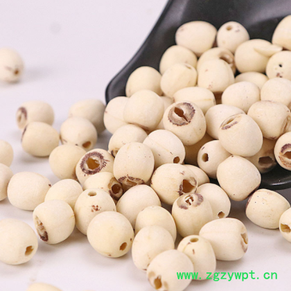 批发湘潭白莲子干货 去芯磨皮白莲子 支持一件代发白莲子承接大货图3