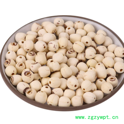 批发湘潭白莲子干货 去芯磨皮白莲子 支持一件代发白莲子承接大货图2