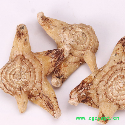 中药材批发白芨 白芨个 三叉白芨承接大货不熏硫白芨支持药检白及图2