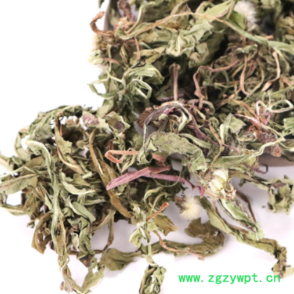 新货农家手选蒲公英 蒲公英叶整株带花蒲公英 散装中药材蒲公英图3