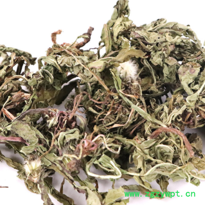 新货农家手选蒲公英 蒲公英叶整株带花蒲公英 散装中药材蒲公英