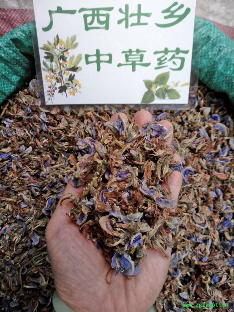 IMG_20161017_175049.jpg IMG_20161017_175049.jpg