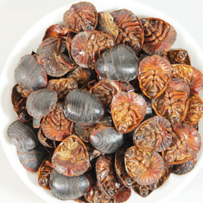 中药材土元批发零售土元 土鳖虫 土虫 大货批发 各种规格量大