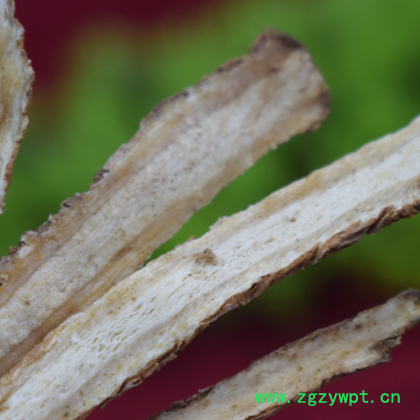 批发岷县干当归 甘肃特产无杂当归中条 新货中药材产地直供当归片图2