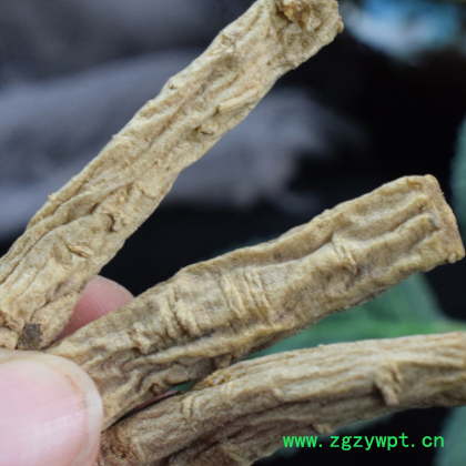 甘肃岷县党参 中药材批发散装党参条党参段 原产地量大从优参片图3