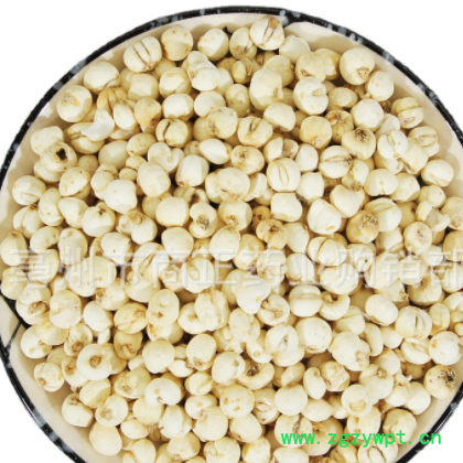 贝母中药材批发贝母一手货源平贝母各种规格贝母大货供应量大从优图2