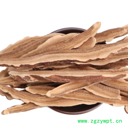 灵芝片产地直销灵芝批发 灵芝片 赤灵芝各种规格新货灵芝大货促销图3