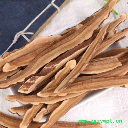 灵芝片产地直销灵芝批发 灵芝片 赤灵芝各种规格新货灵芝大货促销