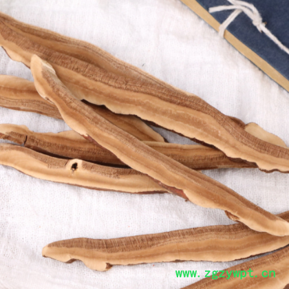 灵芝片产地直销灵芝批发 灵芝片 赤灵芝各种规格新货灵芝大货促销图2