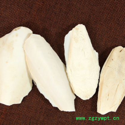 散装批发海螵蛸 墨鱼骨 乌贼骨 中药材海螵蛸大货供应量大从优