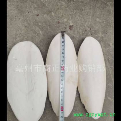 散装批发海螵蛸 墨鱼骨 乌贼骨 中药材海螵蛸大货供应量大从优图3