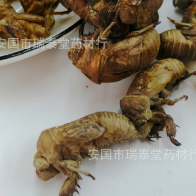 蝉蜕 知了壳 蝉蜕 虫退 制香料细粉