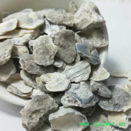 牡蛎 锻制牡蛎 制香料专 用 代加工细粉