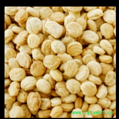 人参 人参籽 人参子 人参种子打粉泡水 一件代发图2