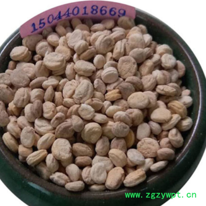 人参 人参籽 人参子 人参种子打粉泡水 一件代发图3