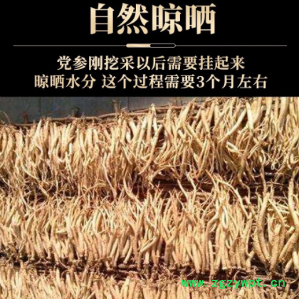 甘肃岷县农家大中小条党参中药材党参100g500g批发产地直销包邮图3