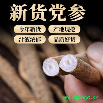 甘肃岷县农家大中小条党参中药材党参100g500g批发产地直销包邮图2