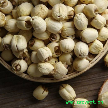 宗广昌白莲子干货江西去芯莲子百合干莲子野生级天然粉糯硫图3