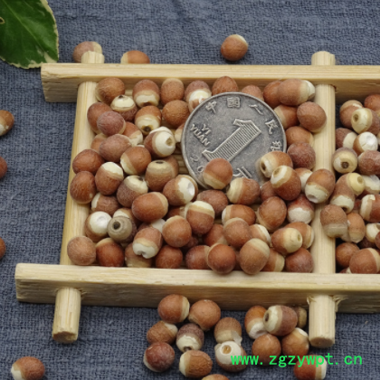 8#芡实500g干货茨实鸡头米圆粒农家自产新鲜货龙岗芡实米