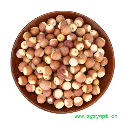 12#芡实厂家现货批发供应各种规格芡实药食同源芡实米图3