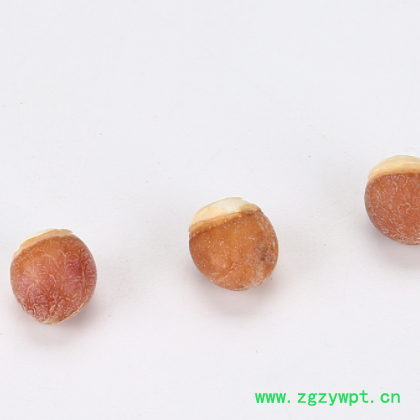 12#芡实厂家现货批发供应各种规格芡实药食同源芡实米图2