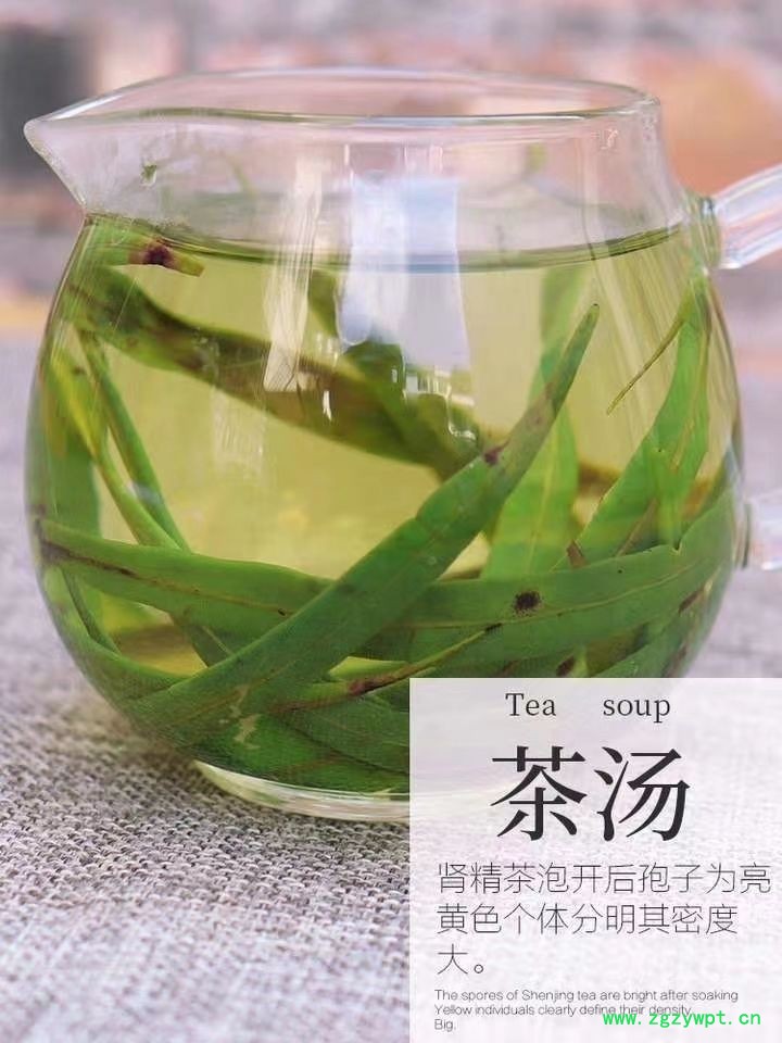 中药肾精草,结石草产地批发,化石草一斤多钱