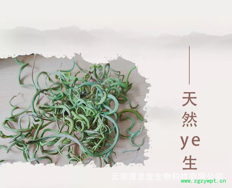 中药肾精草,结石草产地批发,化石草一斤多钱