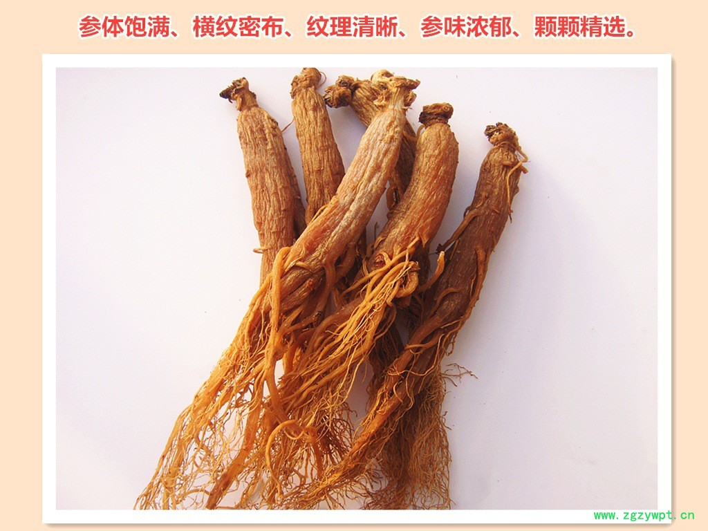 人参红参红参,长白山人参,批发中药材东北红参