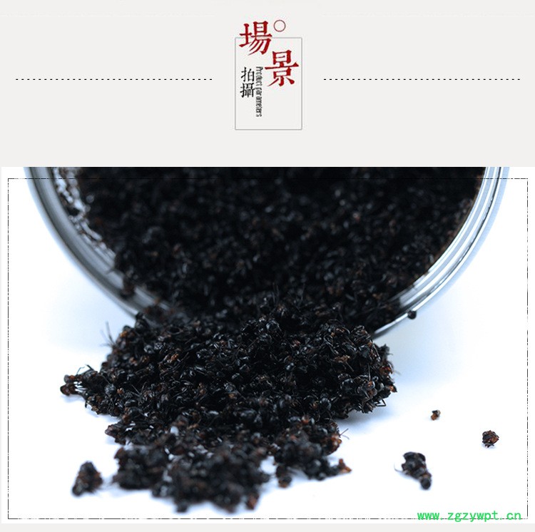 广西黑蚂蚁多钱一斤,中药拟黑多刺蚁,东北特产泡酒泡水
