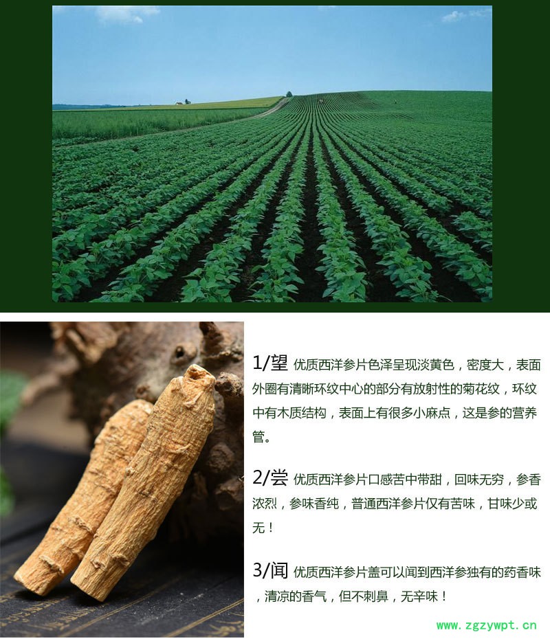 西洋参片散装软支西洋参片滋补中药材新货