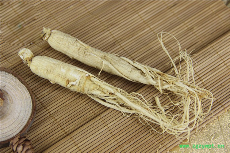 原皮生晒参白参,白参批发白参产地,中药材东北长白山带须人参