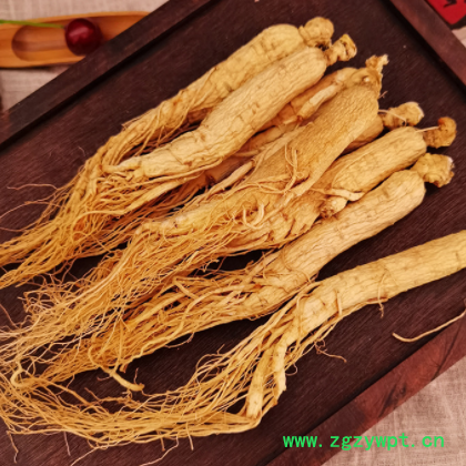 产地批发东北人参 长白山生晒白参 8年足干园参规格齐全量大从优图2