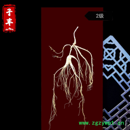 【礼盒参60#】东北高龄林下参 长白山非野山参 礼品盒人参图2