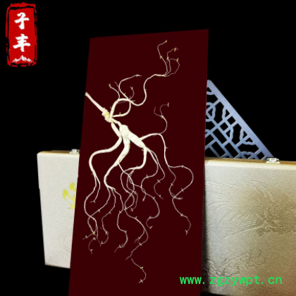 【礼盒参60#】东北高龄林下参 长白山非野山参 礼品盒人参