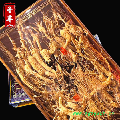 长白山老池底林下山参 15-20年参龄 移山参 免费打粉残肢老皮人参