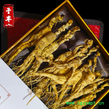 长白山老池底林下山参 15-20年参龄 移山参 免费打粉残肢老皮人参图2