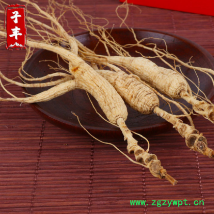 长白山15-20年参龄林下参籽货野山参直生根 吉林人参产地批发优货图2