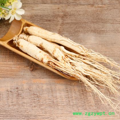 吉林长白山人参生晒参批发 东北集安边条抚松全须边条人参图3