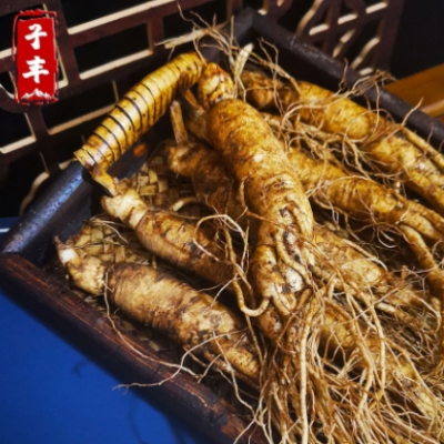 【鲜参】长白山人参批发 产地供应 东北特产 新鲜人参 泡酒参
