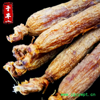 红参无糖红参长白山 特产 产地货源供应批发东北高丽人参免费切片图2