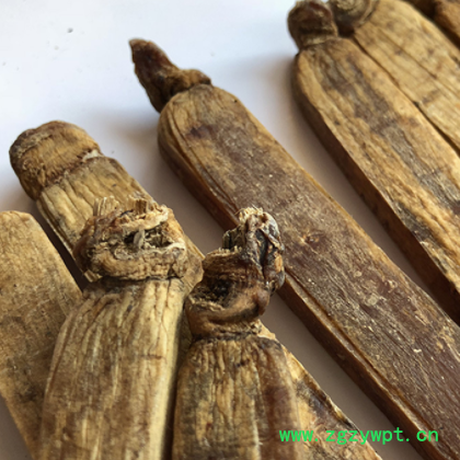 东北特产高丽参滋补品长白山人参高丽参单只小礼盒500g批发图2