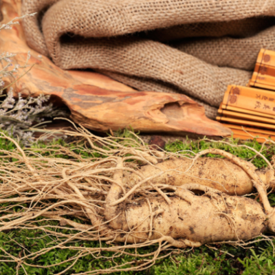 【长白山单支25g】吉林产地供应东北特产鲜参类食品泡酒煲汤批发