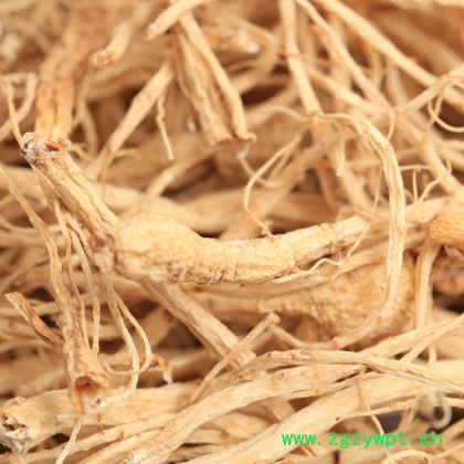 产地货源东北特产长白山原皮白参须 人参须自然凉晒批发量大从优图2