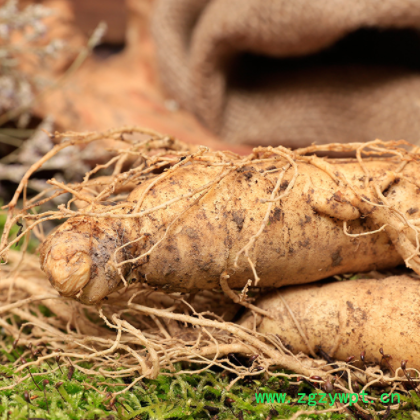 福顺土特产各类人参批发 长白山2棵礼盒装新鲜人参厂家批发图3