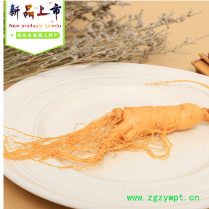 产地批发东北特产新鲜人参 单支袋装40g左右保鲜参批发零售