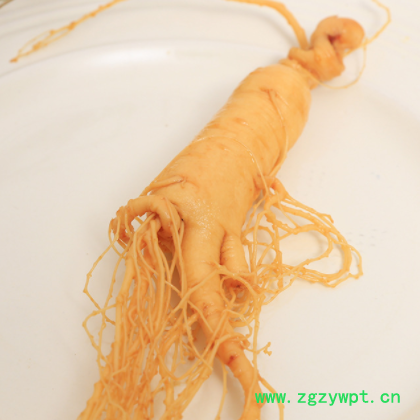 产地批发东北特产新鲜人参 单支袋装40g左右保鲜参批发零售图2