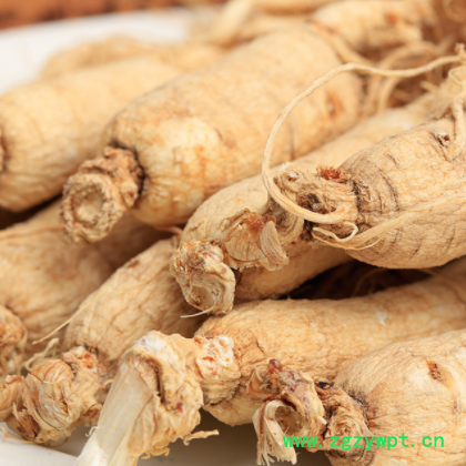 东北特产生晒参 单支10g左右原皮白参长白山人参 干参现货批发图2