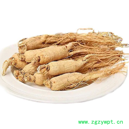 东北特产生晒参 单支10g左右原皮白参长白山人参 干参现货批发图3