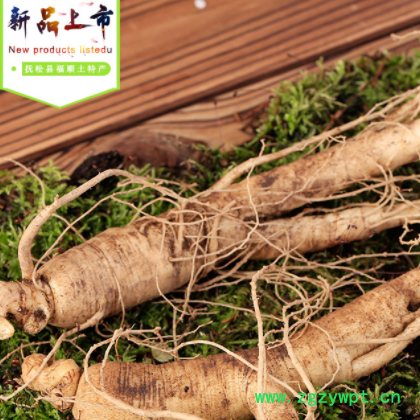 供应东北新鲜西洋参 散装新鲜花旗参刚出土西洋参泡酒500克批发