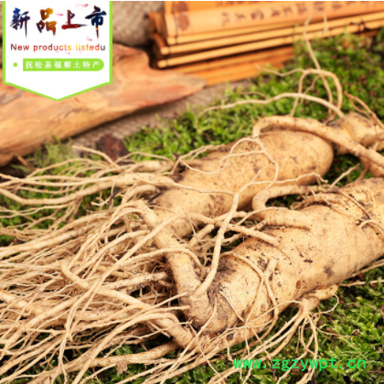 现货供应长白山新鲜人参 散装500克入药泡酒带土鲜人参批发